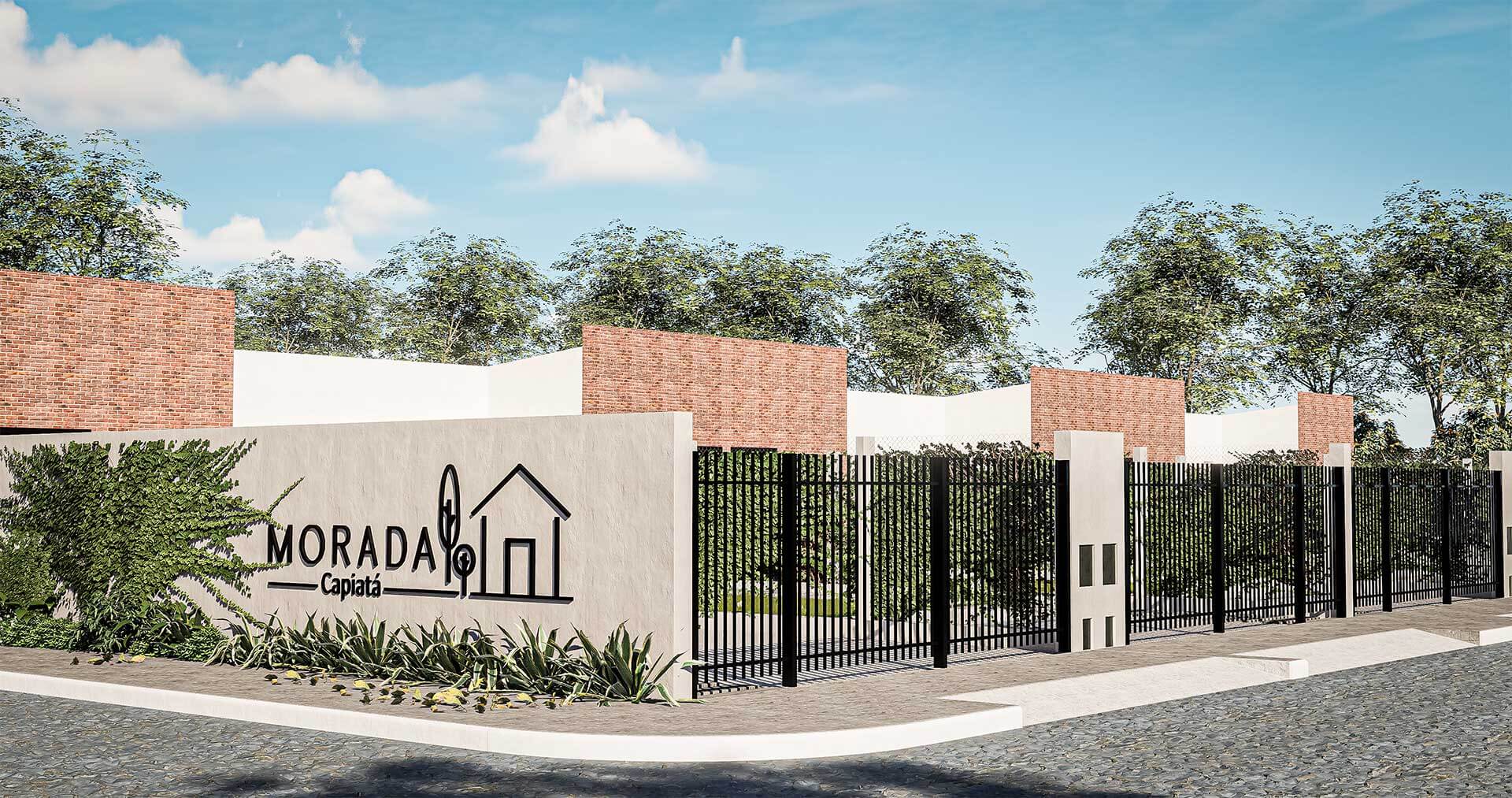 1-MORADA-CAPIATA